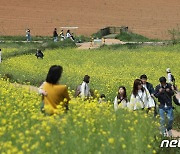 [오늘의 날씨] 충북·세종(1일,월)…구름 많다가 오후 맑아짐