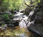 환경부, 팔공산 국립공원 승격 응원대회·토론회 개최