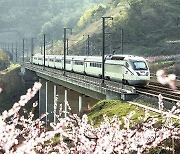 에스알, 5월 연휴에 수서고속철 8000석 확대