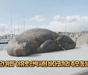 [잇슈 SNS] ‘인간 위협’ 이유로 안락사된 바다코끼리 추모 동상