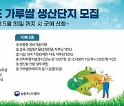 "가루쌀 안정적 생산기반 다진다" 농식품부, 전문재배단지 대상자 모집