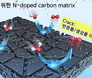 수소 생산 ‘촉매’ 수명 높인다…다공성 탄소전극 개발