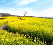 영주권 주는 투자이민제도, 기준금액 10억원으로 상향