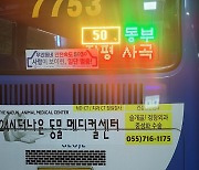 거제 시내버스 후면·측면에 LED 노선번호 전광판 부착