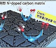 수소생산 효율 높일 다공성 탄소 전극 개발