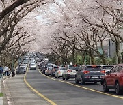 제주대 제주관광대 제주한라대... '천원의 아침밥 지원사업' 선정