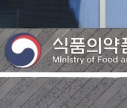 놀이공원 등 푸드트럭·음식점 30곳, 식품위생법 위반