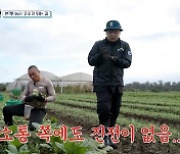 이시언 도주...'부산촌놈', 산산조각 난 워킹 홀리데이 로망 [종합]