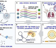 "유전자 가위 기술로 코로나바이러스 핵심 급소 '싹둑'"