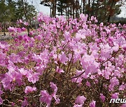 [오늘의 날씨] 대전·충남(2일, 화)…일교차 15도 내외, "건강 관리 유의"