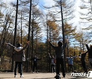 민간인 통제선 이북지역 보전산지에도 '치유의 숲' 조성 허용