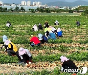 외국인 계절근로자 138명 임금 가로챈 전직 공무원 검찰 송치