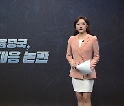 '연일 하한가 사태' 왜 이렇게까지 커졌나...늑장 대응 논란