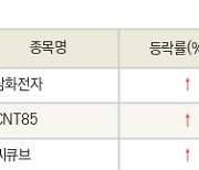 [fnRASSI]오늘의 상한가, 삼화전자 30.0% ↑