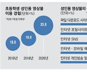 음란물에 빠진 초등생…34% "야동봤다"