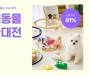 "우리집 막둥이 선물은"…오늘의집 '반려동물 선물대전'