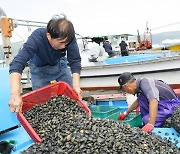 울산 남구, 태화강 바지락 어장 살리기 '안간힘'