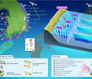 경북대, 해수부 해양그리드 사업 선정…"실시간 해양 데이터 제공"