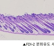 프롬바이오, 탈모 치료제 전임상 연구 결과 발표 "발모 효과 입증 성공"