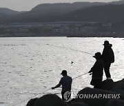 50대 낚시꾼, 던진 낚싯줄이 전깃줄에 감기는 바람에 감전