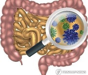 "인체 세균총 균형, 밤낮·계절 따라 변한다"