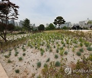 용산 어린이정원 전망언덕에서 바라본 대통령실