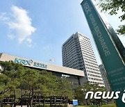 "코스피 PER, 신흥국 평균보다 낮아…배당수익률 2.2%"