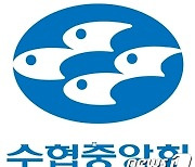 수협, 멍게 상생 할인전 개최…최대 29% 할인 판매