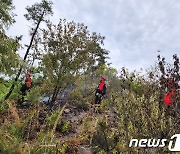 부여 홍산면 산불 2시간44분만에 진화…입산자 실화 추정(종합)