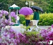 [퇴근길날씨] 벌써 서귀포 22.5㎜…밤부터 전남도 비 본격