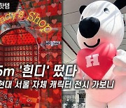 [힙플핫템]"왕크니까 왕귀여워" 벨리곰 이어 흰디떴다