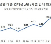 [부실도미노 비상]①고개 든 대출 연체율