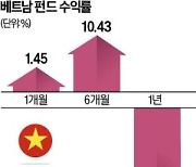 작년 30% 급락했던 베트남펀드, 다시 빛볼까