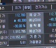 '하따' 푹빠진 동학개미…"잃는게 더 많다"