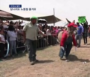 [굿모닝월드]'아이언맨 당나귀 납시오!' 노동절 당나귀 축제?