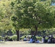 [오늘 날씨] 밤부터 '많은 비'… 한낮 '최고 27도' 초여름 더위