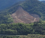 "창원시민 안전 위협 '주한미군사격장' 즉각 중단해야"