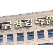 금감원 "경매기일 된 전세사기 피해 주택 18건 모두 연기"