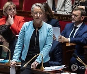 FRANCE GOVERNMENT PARLIAMENT