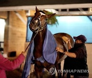 Kentucky Derby Horse Racing