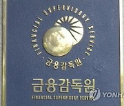 금감원 "전세사기 경매기일 도래 18건 모두 일정 연기"