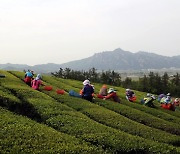 세계인의 입맛 사로잡은 영암농산물 수출 더 늘린다