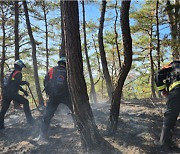 충북 영동군서 입산객 실화 추정 산불... 40여 분 만에 주불 진화