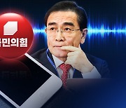 與, 최고위 회의 취소...태영호 '중징계론' 확산