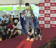 [전북] 반려인 & 반려동물 축제...임실 오수의견문화제 시작