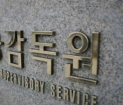 금감원 "인천 미추홀구 '전세사기' 28건 모두 경매 유예"