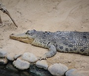 낚시 도중 실종된 호주 어부 시신…어디서 찾았나?