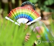 “동성끼리 성관계하면 최대 사형”…초강력 법안 통과시킨 이 나라