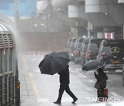 비 바람부는 제주