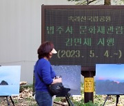 "문화재관람료 안받아요" 충북 법주사·영국사 무료 개방